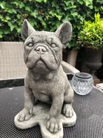 beeld hond franse Bull bulldog bulletje, Ophalen, Nieuw