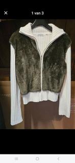 Vest Bijenkorf NIEUW ! Mt. L, Kleding | Dames, Truien en Vesten, Ophalen of Verzenden, Nieuw