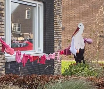 Geboorte ooievaar bord met feestlijn te huur beschikbaar voor biedingen