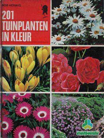 201 tuinplanten in kleur beschikbaar voor biedingen
