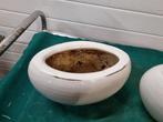 bloempotten ovaal creme oud look, Ophalen of Verzenden, 'T Olde Gre-j, Info@toldegrej.nl, Endepoelstraat 20f Didam