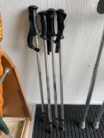 Nordic walk / wandelstokken beschikbaar voor biedingen