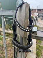 Shetlander hoofdstel, Dieren en Toebehoren, Paarden en Pony's | Hoofdstellen en Tuigage, Ophalen of Verzenden, Nieuw, Dressuur