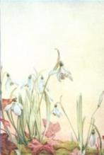 Joop, Ophalen of Verzenden, 1980 tot 1990, Geboortekaartje