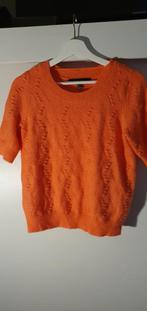 Vera mode mooi truitje mt s, Kleding | Dames, Ophalen of Verzenden, Nieuw, Maat 38/40 (M)
