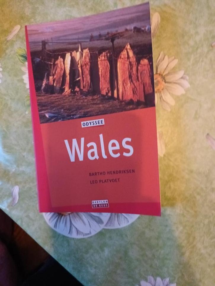 Wales Engeland Odyssee reisgids. Powys Clwyd Gower Cardiff, Boeken, Reisgidsen, Zo goed als nieuw, Reisgids of -boek, Europa, Overige merken