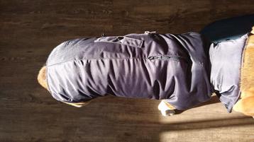 hondenjas Bobby maat 36 beschikbaar voor biedingen