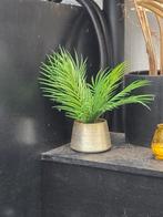 Kleine Nep Palmboom - 40cm, Ophalen, Nieuw, Binnen