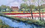 VAN NOORT - BOLLENVELD TE HILLEGOM, Ophalen