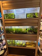 Aquarium stelling - Kweek stelling, Ophalen of Verzenden, Zo goed als nieuw, Leeg aquarium