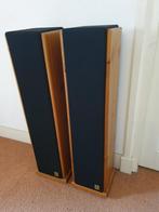 Lambda Jade II high end zuilspeakers, Gebruikt, 60 tot 120 watt, Front, Rear of Stereo speakers, Ophalen