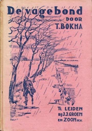 T BOKMA - De Vagebond beschikbaar voor biedingen