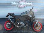 DUCATI MONSTER / MONSTER + (bj 2021), DUCATI, 2 cilinders, Motorrijbewijs A, Bedrijf