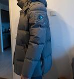 Moose Knuckles Cloud grijs maat L ZGAN, Kleding | Heren, Jassen | Winter, Ophalen of Verzenden, Zo goed als nieuw, Grijs