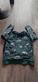 2 Truien - Maat 128, Gebruikt, Trui of Vest, Ophalen of Verzenden, Someone