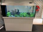 Aquarium Juwel rio 450 led wit meubel juwel rio 450 wit, Ophalen of Verzenden