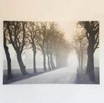 Ikea pjatteryd canvas weg met bomen 78 x 118 cm, Ophalen of Verzenden