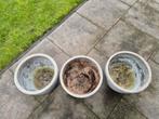 Grijze Bloempotten voor Terras, Tuin en Terras, Bloempotten, Ophalen, Gebruikt, Tuin, Rond