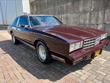 Monte Carlo met power 💪 beschikbaar voor biedingen
