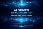 INVESTEERDER / LENING GEZOCHT – AI Business (Live platforms)