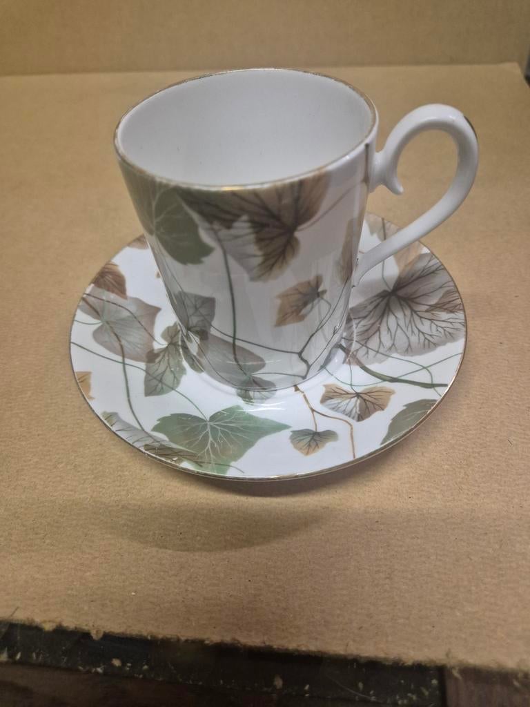 Springwood royal albert porselein, Ophalen of Verzenden, Gebruikt, Porselein, Kop en/of schotel