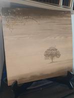 Genesis - Wind & Wuthering LP, Ophalen of Verzenden, Zo goed als nieuw, Progressive
