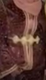 Marokkaanse jurk, Overige typen, Overige kleuren, Zo goed als nieuw, Ophalen