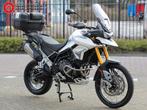 TRIUMPH TIGER 900 RALLY (bj 2022), 888 cc, Bedrijf, 3 cilinders, Meer dan 35 kW