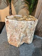 versteende boomstam uit Brazilie, zeldzaam mooi kleurenspel, Ophalen of Verzenden