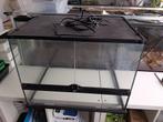 exo terra 60x45x45 met aangepaste deksel, Ophalen, Anthonie fokkerstraat 57P, De Reptielenboer, Gebruikt