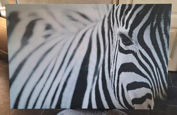 Canvas Schilderij Zebra - 118x78 cm beschikbaar voor biedingen