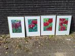 Vier erg mooie stillevens met Papaver, Antiek en Kunst, Ophalen of Verzenden