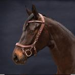 Presteq fay hoofdstel brown, Ophalen of Verzenden, Zo goed als nieuw, Dressuur