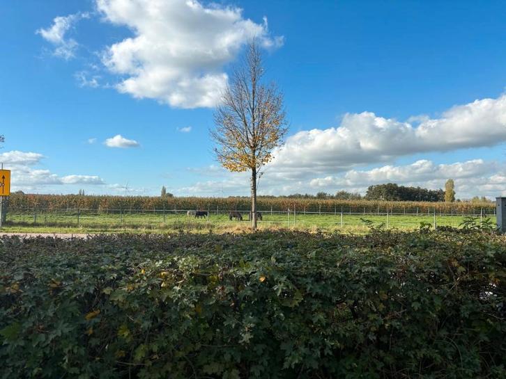 3 kamer appartement in de Bommelerwaard, Huizen en Kamers, Kamers te huur, s-Hertogenbosch, 50 m² of meer
