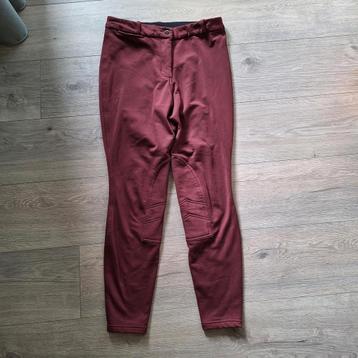 Bordeaux rode warme gevoerde winter paardrijbroek Decathlon beschikbaar voor biedingen