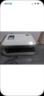 Broedmachine, Geslacht onbekend, Kip