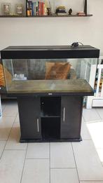 Jewel aquarium 1 meter breed met kast, Ophalen, Gebruikt, Leeg aquarium