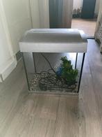 Aquarium, Dieren en Toebehoren, Ophalen, Zo goed als nieuw, Leeg aquarium