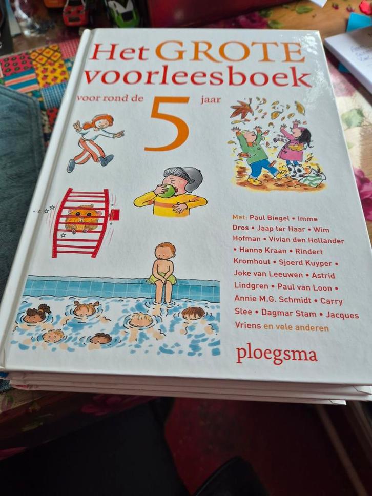 Het Grote Voorleesboek voor rond de 5 jaar, Hobby en Vrije tijd, Gezelschapsspellen | Bordspellen, Zo goed als nieuw, Ophalen of Verzenden