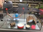 Ferplast karat hamsterkooi, Dieren en Toebehoren, Kooi, Minder dan 75 cm, Zo goed als nieuw, Hamster