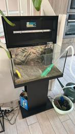 Aquarium en toebehoren, Dieren en Toebehoren, Vissen | Aquaria en Toebehoren, Ophalen, Gebruikt, Leeg aquarium