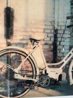 Een groot schilderij van plexiglas., Antiek en Kunst, Kunst | Schilderijen | Klassiek, Ophalen