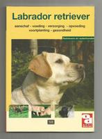Labrador Retriever, Ophalen of Verzenden, Zo goed als nieuw, Honden