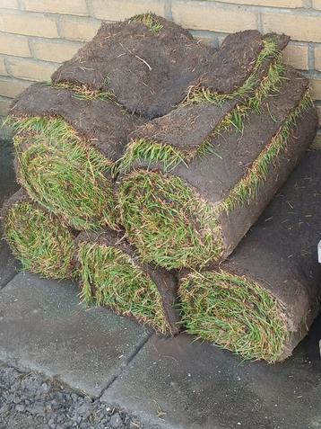 5 rollen Graszoden voor halfschaduw/schaduw beschikbaar voor biedingen