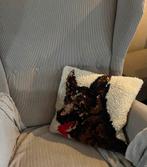 Prachtig handgemaakt vintage Smyrna kussen met een hond, Ophalen of Verzenden, Vierkant