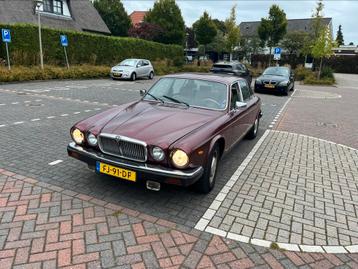 Te huur (trouw)auto Jaguar XJ6 uit 1983 beschikbaar voor biedingen
