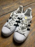 Adidas superstar, Kleding | Dames, Ophalen of Verzenden, Nieuw, Wit, Sneakers of Gympen