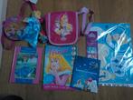 Disney prinsessen boeken en 2 tassen, Ophalen of Verzenden, Overige figuren, Gebruikt, Overige typen