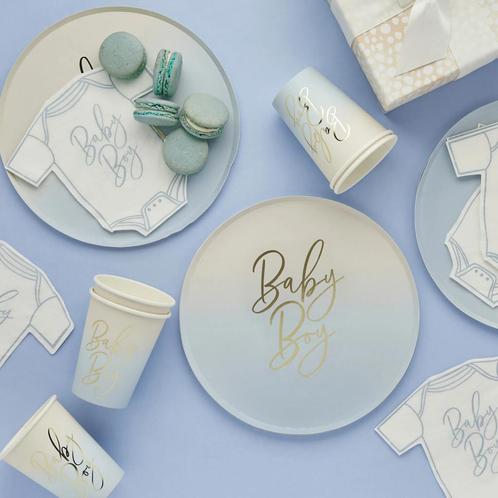 Complete Babyshower Set - Blauw Thema (Hooty Balloo), Hobby en Vrije tijd, Feestartikelen | Verhuur, Nieuw, Verjaardag, Ophalen of Verzenden