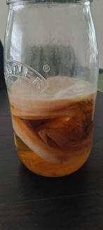 Kombucha scoby / scobi, Ophalen